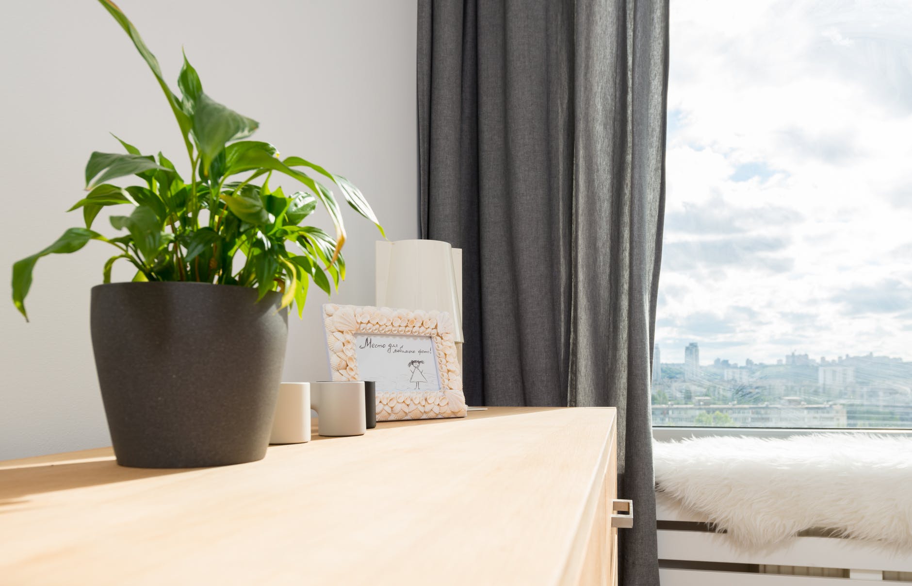 potted plant and decorative objects on cabinet near window