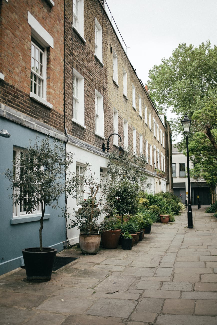 green potted plants near building