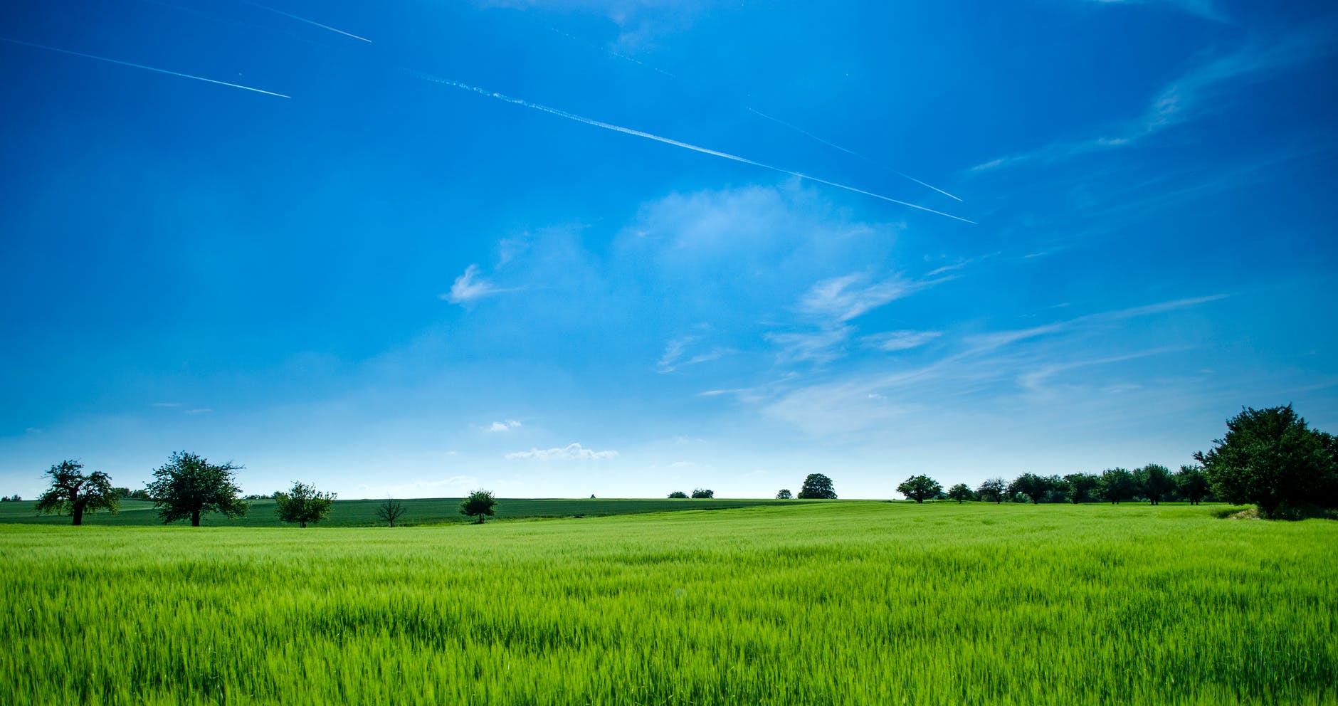 panoramic photography of green field