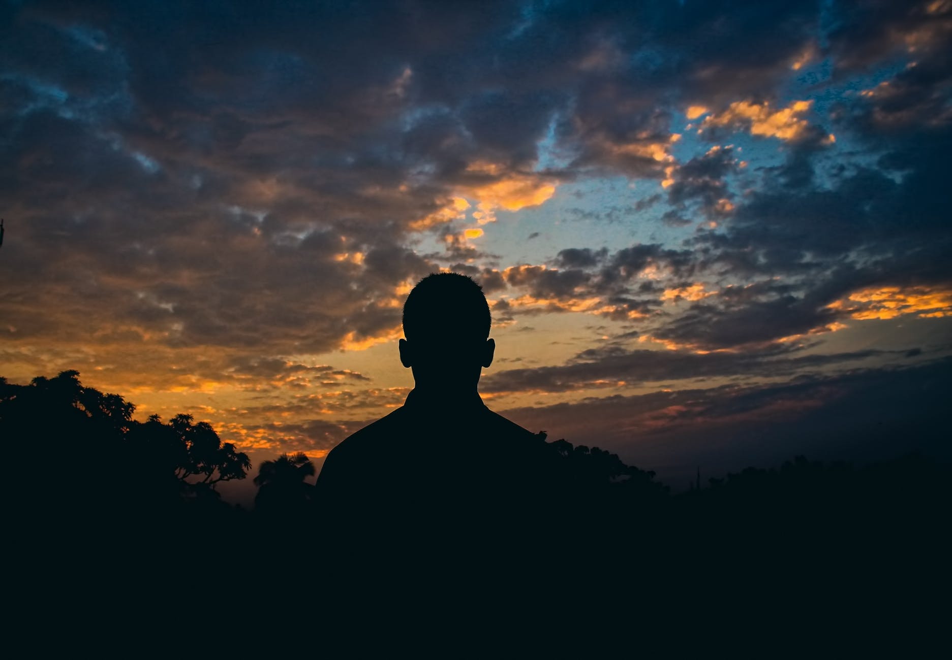 silhouette of man watching golden hour