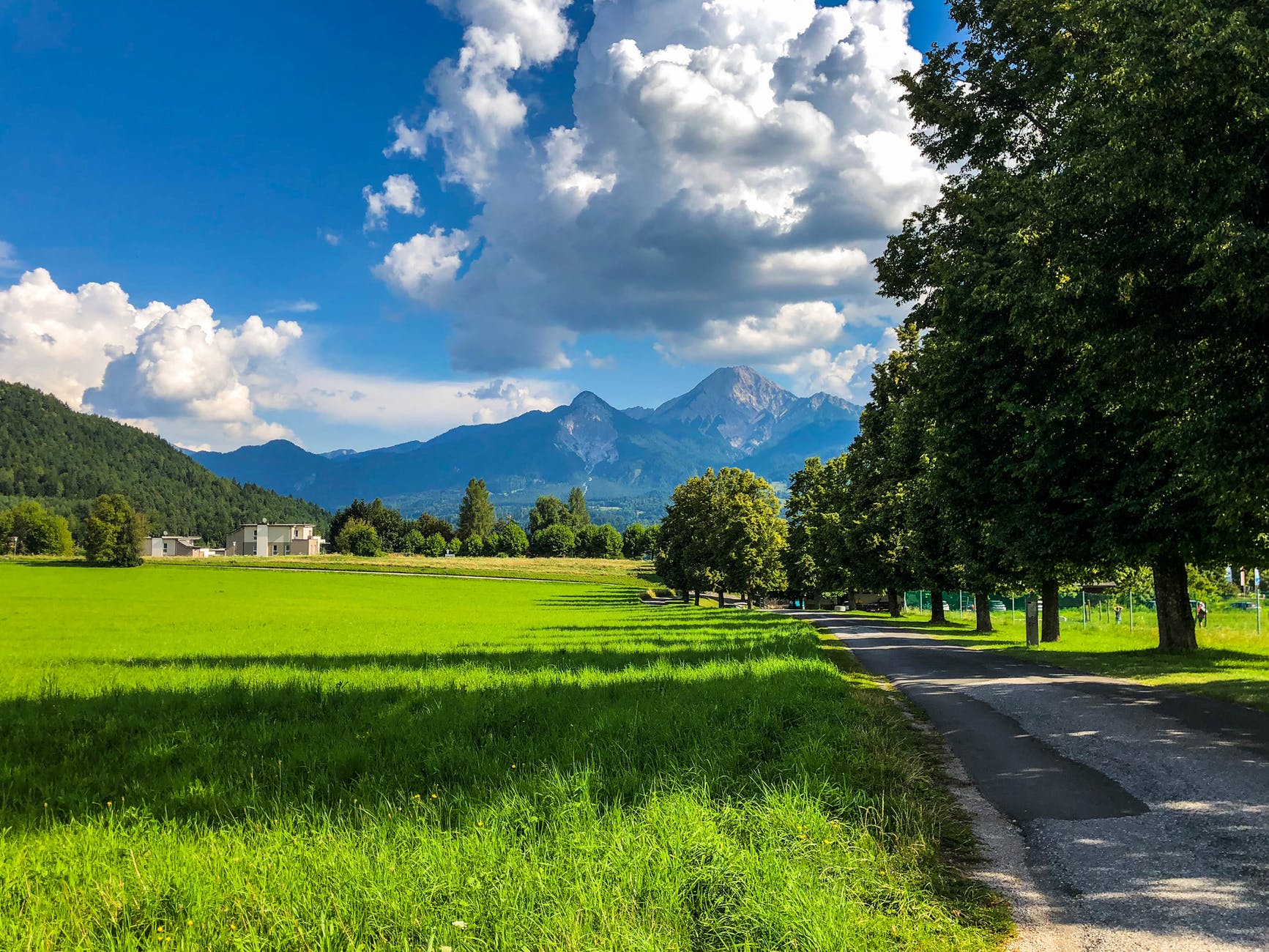 green field