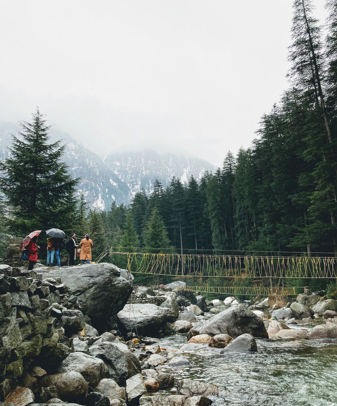 green trees beside the rocky river